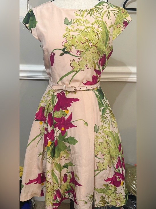 Ted Baker London Dresses & Skirts - Ted Baker London Pale Pink Midi Dress with Fuchsia & Green Floral Print